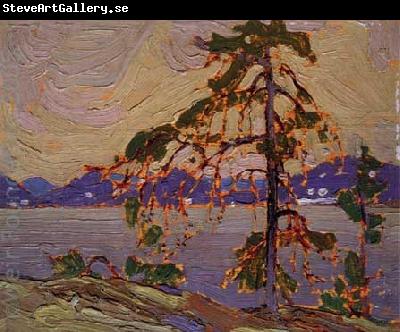 Tom Thomson Oil sketch for The Jack Pine